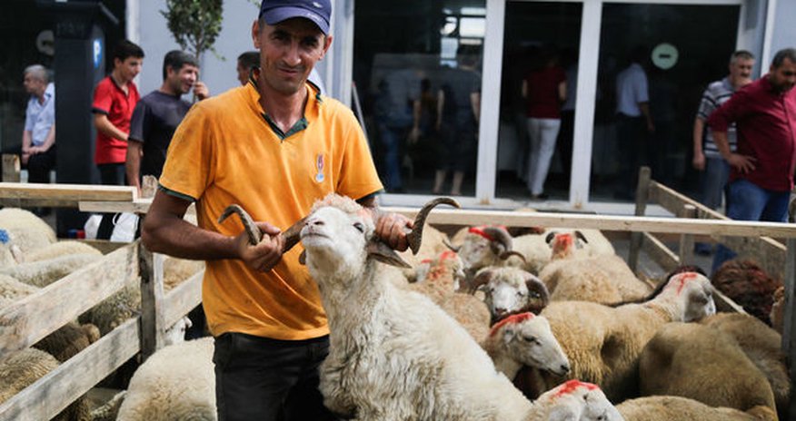 Bakıda Qurban bayramı keçirilir – FOTOREPORTAJ Bakıda Qurban bayramı keçirilir – FOTOREPORTAJ