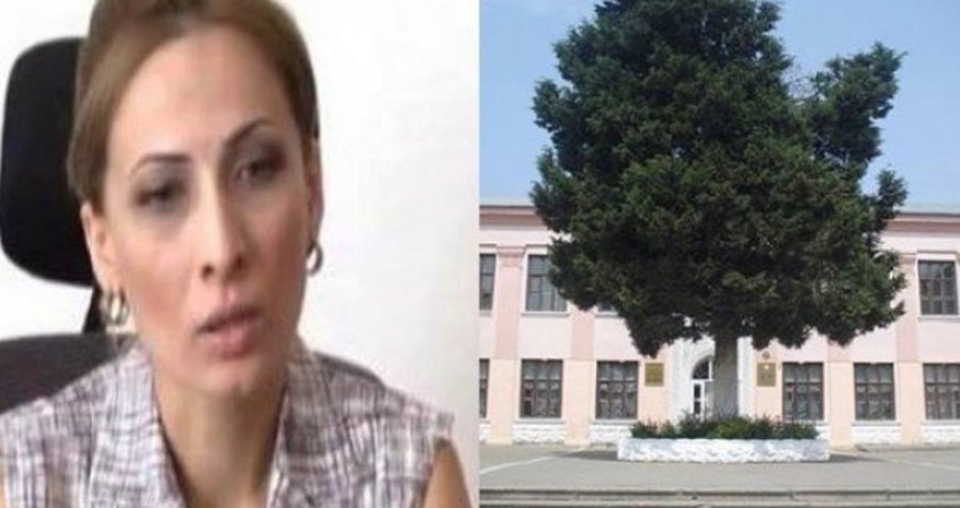 Daha bir direktor jurnalisti təhqir etdi: “Qələt edib mənə zəng vurmusunuz!” Daha bir direktor jurnalisti təhqir etdi: “Qələt edib mənə zəng vurmusunuz!”