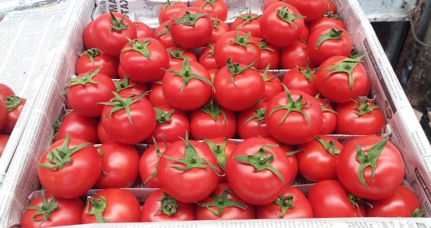 Rusiya Türkiyədən pomidor idxalının şərtlərini açıqlayıb Rusiya Türkiyədən pomidor idxalının şərtlərini açıqlayıb