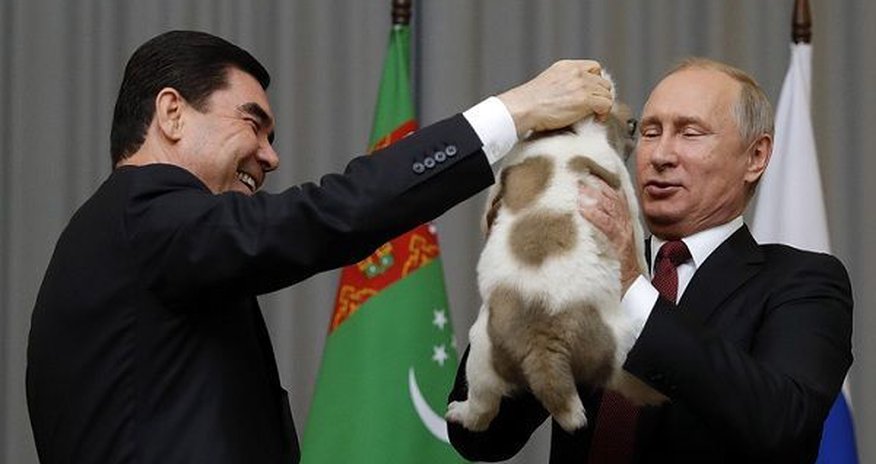 Türkmənistan prezidenti Putinə it hədiyyə etdi Türkmənistan prezidenti Putinə it hədiyyə etdi