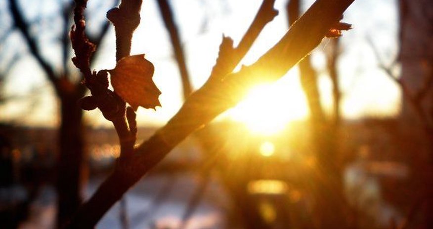 Havanın temperaturu yüksələcək Havanın temperaturu yüksələcək