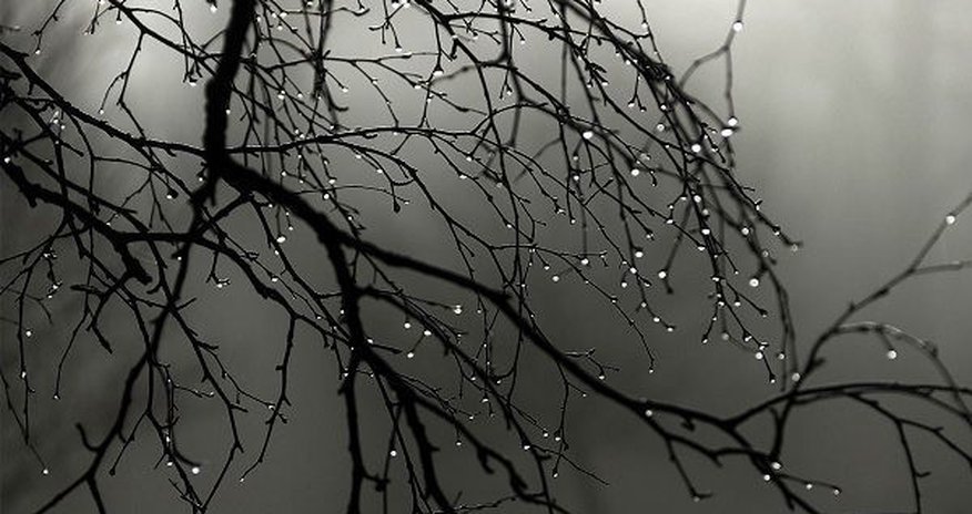 Növbəti iki gündə hava dəyişəcək – XƏBƏRDARLIQ Növbəti iki gündə hava dəyişəcək – XƏBƏRDARLIQ