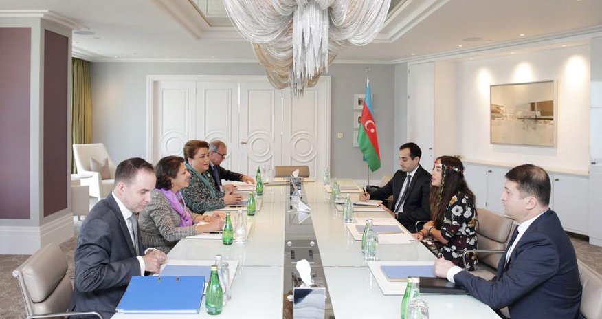 Leyla Əliyeva UNICEF-in regional direktoru ilə görüşüb Leyla Əliyeva UNICEF-in regional direktoru ilə görüşüb