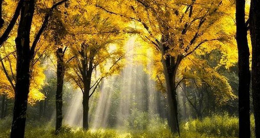 İstirahət gününün hava proqnozu İstirahət gününün hava proqnozu