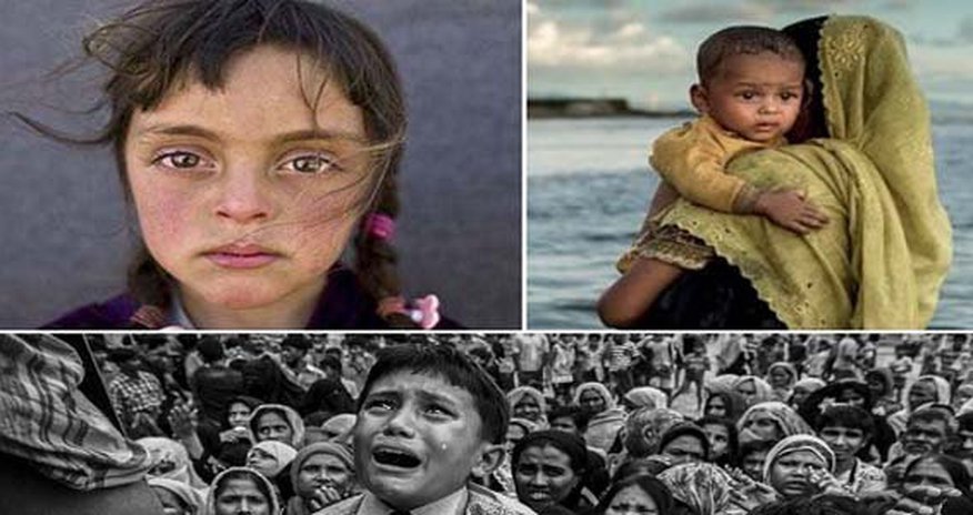 5 yaşlı Zəhranın şəkli “İlin fotosu” seçildi 5 yaşlı Zəhranın şəkli “İlin fotosu” seçildi
