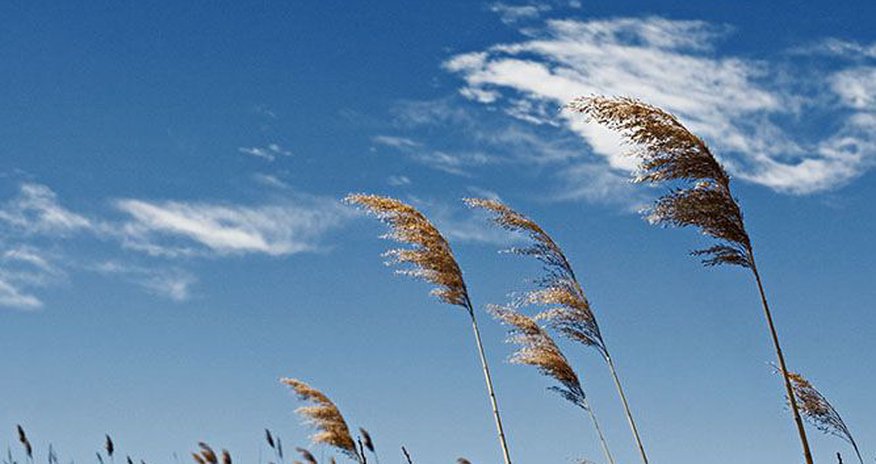 Hava yağmursuz, küləkli olacaq Hava yağmursuz, küləkli olacaq