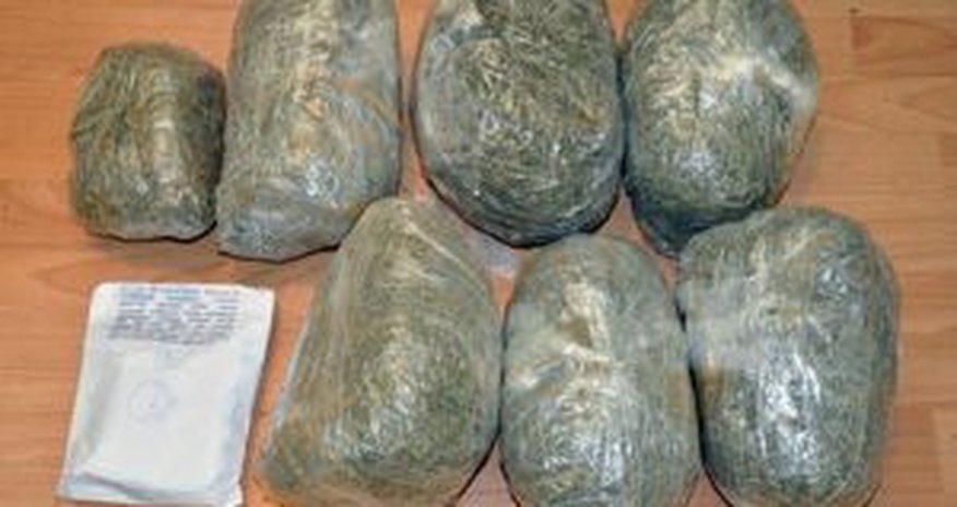 Из оборота изъято более 100 кг наркотиков Из оборота изъято более 100 кг наркотиков