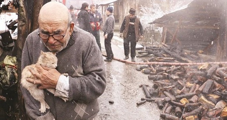 Son anda pişiyini xilas edən Əli baba - VİDEO Son anda pişiyini xilas edən Əli baba - VİDEO