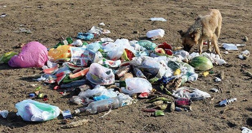 Владелец бакинского магазина оштрафован за мусор Владелец бакинского магазина оштрафован за мусор