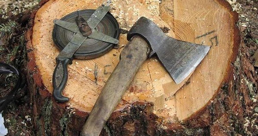 Срубил дерево - нанес ущерб природе в 4 тысячи манатов Срубил дерево - нанес ущерб природе в 4 тысячи манатов