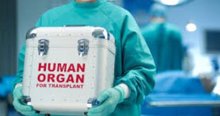 Bu orqanların transplantasiyasına icazə veriləcək Bu orqanların transplantasiyasına icazə veriləcək