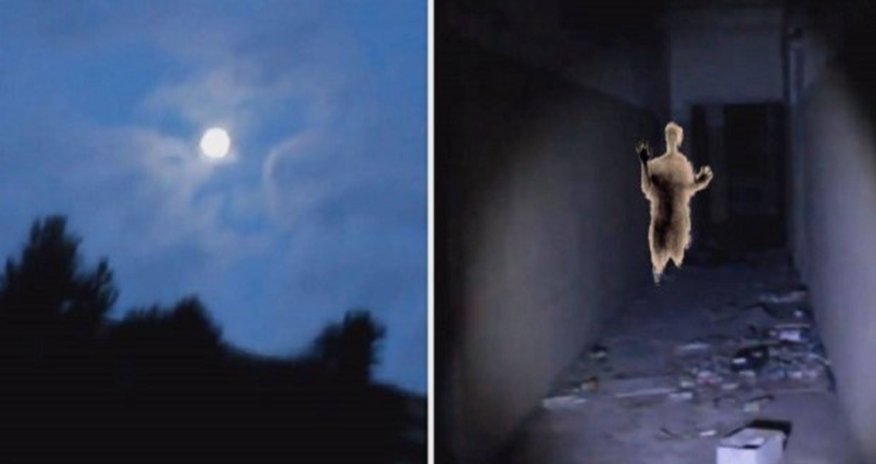 Cənnət, cəhənnəm və Bakı arasında 8 qapı: Paranormal xəstəxana… – Video Cənnət, cəhənnəm və Bakı arasında 8 qapı: Paranormal xəstəxana… – Video