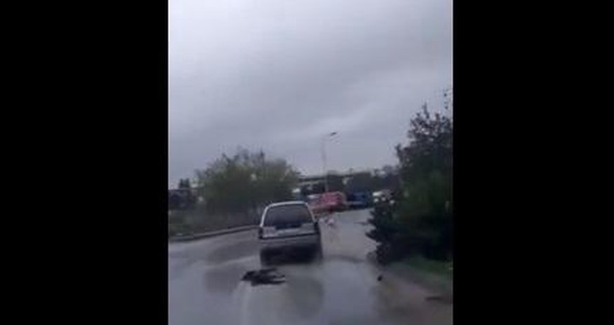Bakıda itlərə qarşı növbəti vəhşilik Bakıda itlərə qarşı növbəti vəhşilik