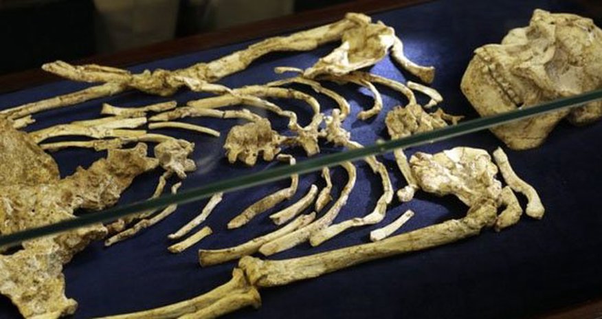 Bakıda evdən skeletləşmiş qadın meyiti tapıldı Bakıda evdən skeletləşmiş qadın meyiti tapıldı