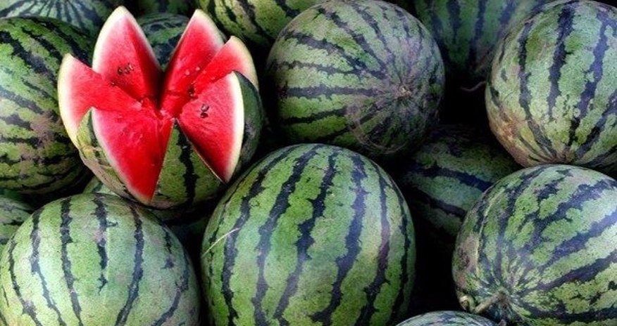 Ermənistanda Azərbaycan qarpızları satılır? Ermənistanda Azərbaycan qarpızları satılır?