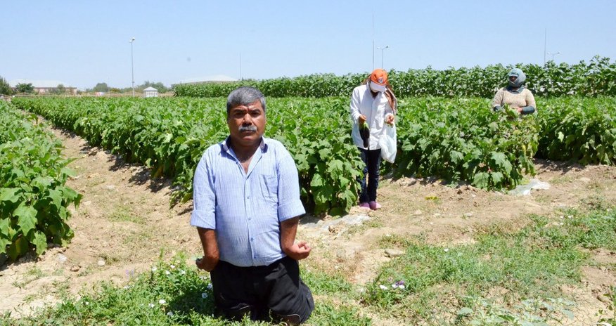 Bu il 94 ton taxıl tədarük edən fiziki məhdudiyyətli azərbaycanlı - FOTOLAR Bu il 94 ton taxıl tədarük edən fiziki məhdudiyyətli azərbaycanlı - FOTOLAR