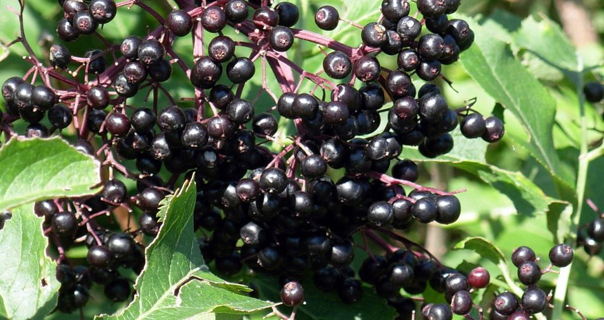 Xərçəngin tam müalicəsi mümkündür Xərçəngin tam müalicəsi mümkündür