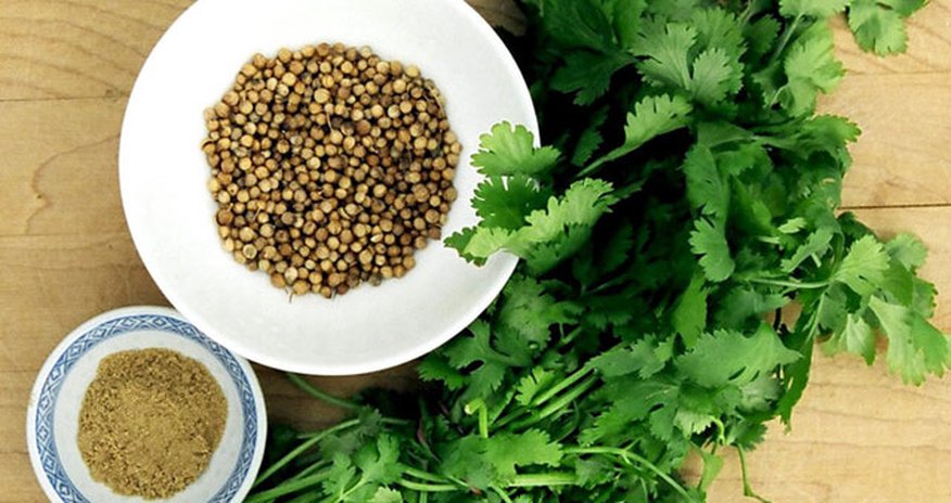 Təzyiqi və şəkəri salan, qaraciyəri təmizləyən göyərti. 3 faydalı resept Təzyiqi və şəkəri salan, qaraciyəri təmizləyən göyərti. 3 faydalı resept