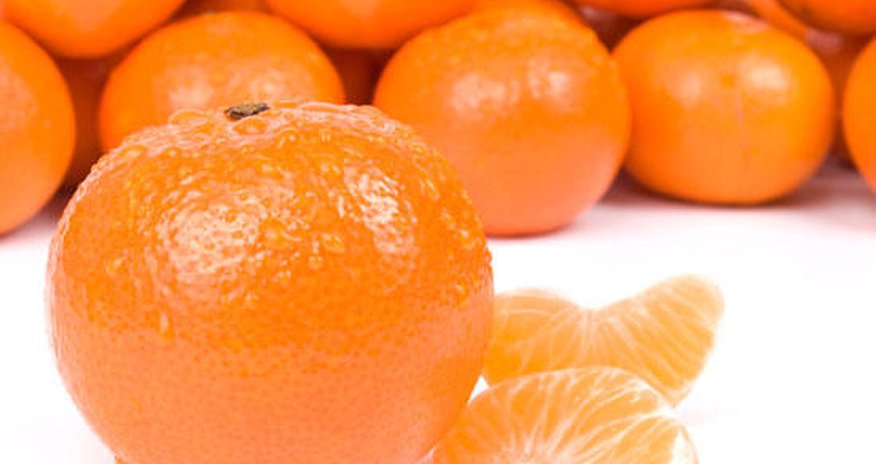 Azərbaycanda yeni çay, limon və naringi sortları yaradılıb Azərbaycanda yeni çay, limon və naringi sortları yaradılıb