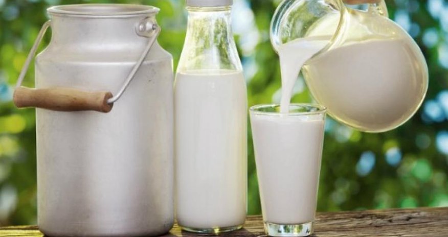 Азербайджан нарастит экспорт молочной продукции в арабские страны Азербайджан нарастит экспорт молочной продукции в арабские страны