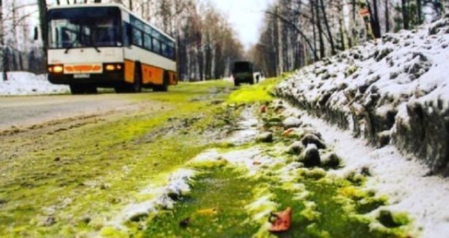 Rusiyaya yaşıl qar yağdı - FOTOLAR Rusiyaya yaşıl qar yağdı - FOTOLAR