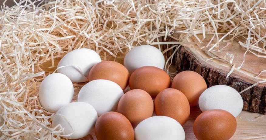 Yumurta satan bəzi sahibkarlar əhalini aldadırlar – RƏSMİ Yumurta satan bəzi sahibkarlar əhalini aldadırlar – RƏSMİ