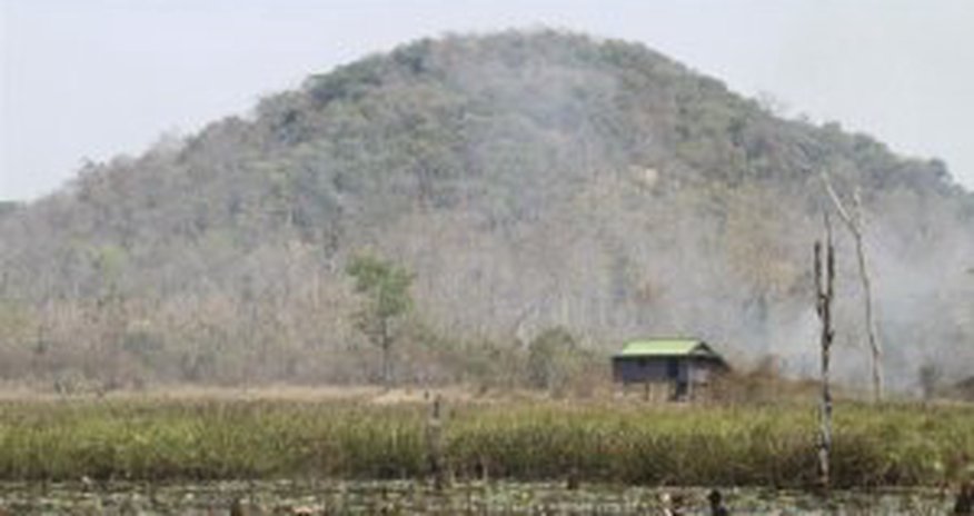 Calls grow for investigation over missing Cambodian land activist Calls grow for investigation over missing Cambodian land activist