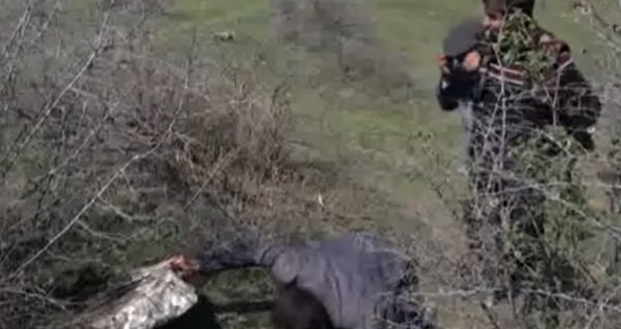 Azərbaycanda qızıl axtardılar, qədim abidə çıxdı – VİDEO Azərbaycanda qızıl axtardılar, qədim abidə çıxdı – VİDEO
