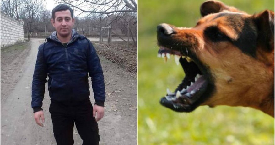 “İşıqdan, sudan qorxmağa başladı…” – İt dişləməsindən ölən gəncin atası danışdı “İşıqdan, sudan qorxmağa başladı…” – İt dişləməsindən ölən gəncin atası danışdı