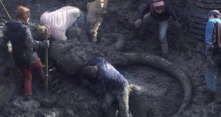 Ər və arvad tarlanı şumlayarkən tapdı - Bu tapıntı ölkədə ŞOK effekti yaratdı - FOTOLAR Ər və arvad tarlanı şumlayarkən tapdı - Bu tapıntı ölkədə ŞOK effekti yaratdı - FOTOLAR