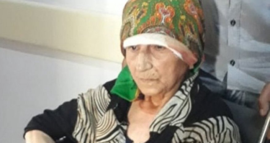 Azərbaycanda şok: İt 81 yaşlı qadının qulağını qoparıb - VİDEO Azərbaycanda şok: İt 81 yaşlı qadının qulağını qoparıb - VİDEO
