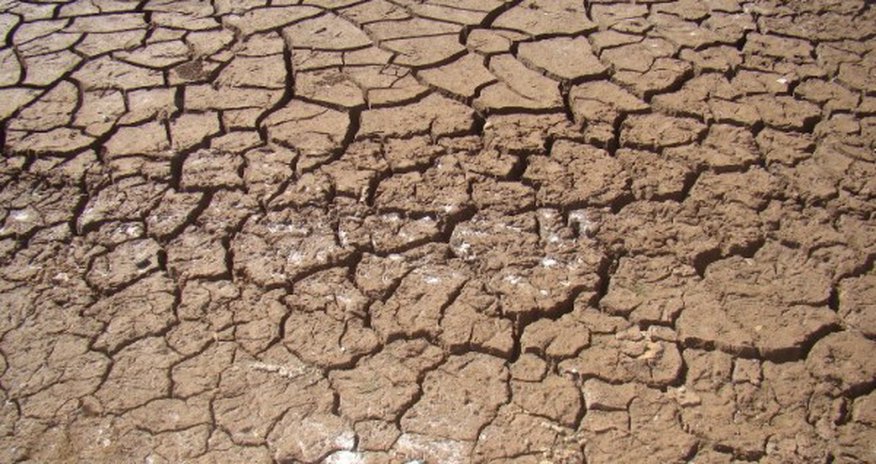 India suffers driest June in five years, fears for crops India suffers driest June in five years, fears for crops