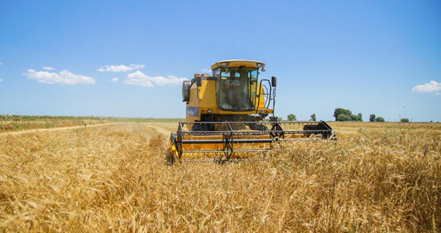 Grain harvest completed on about 800,000 ha of Azerbaijani fields as of July 3 Grain harvest completed on about 800,000 ha of Azerbaijani fields as of July 3