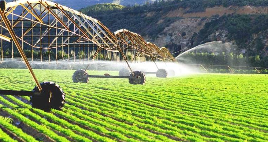 How bidaicoin will change agriculture of Kazakhstan (Exclusive) How bidaicoin will change agriculture of Kazakhstan (Exclusive)