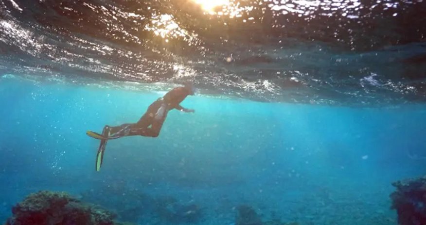 Israeli researchers are using 3D printing technology to help rebuild coral reefs Israeli researchers are using 3D printing technology to help rebuild coral reefs