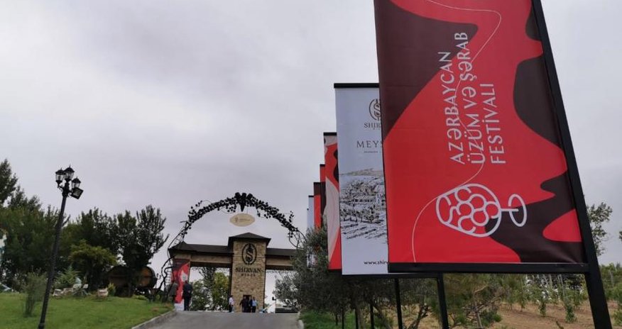 First-ever Grape and Wine Festival underway in Azerbaijan (PHOTO) First-ever Grape and Wine Festival underway in Azerbaijan (PHOTO)