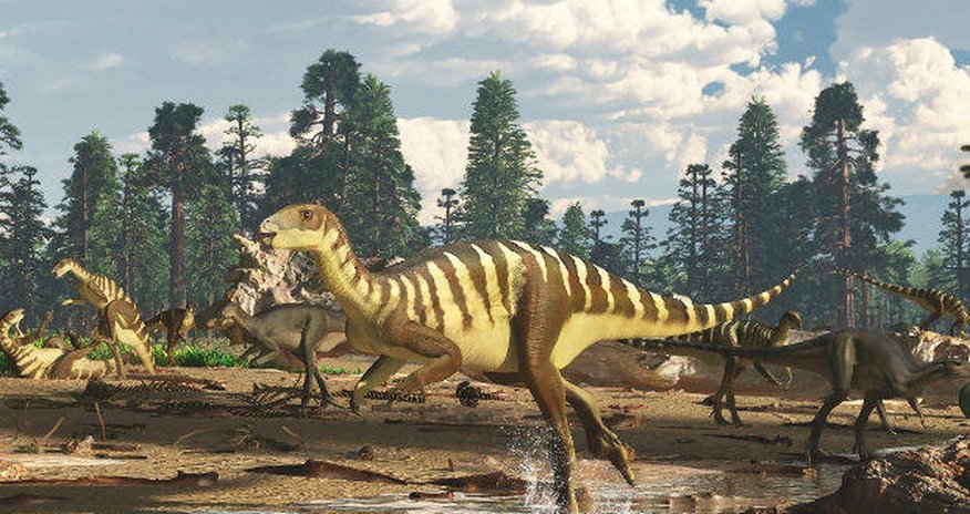 Yeni dinozavr növü tapıldı Yeni dinozavr növü tapıldı