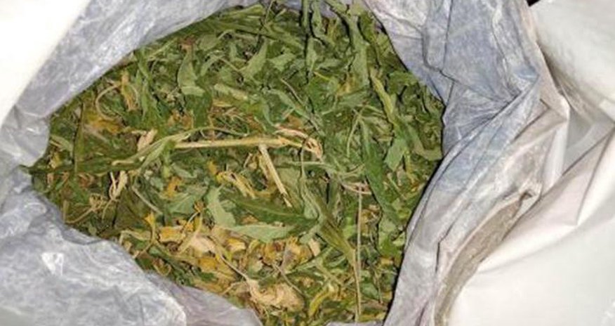 Kənd sakininin evindən 3.9 kiloya yaxın narkotik çıxdı Kənd sakininin evindən 3.9 kiloya yaxın narkotik çıxdı
