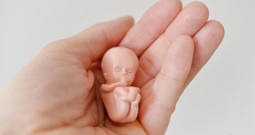 SON DƏQİQƏ! Ölkədə aborta icazə verildi - RƏSMİ SON DƏQİQƏ! Ölkədə aborta icazə verildi - RƏSMİ
