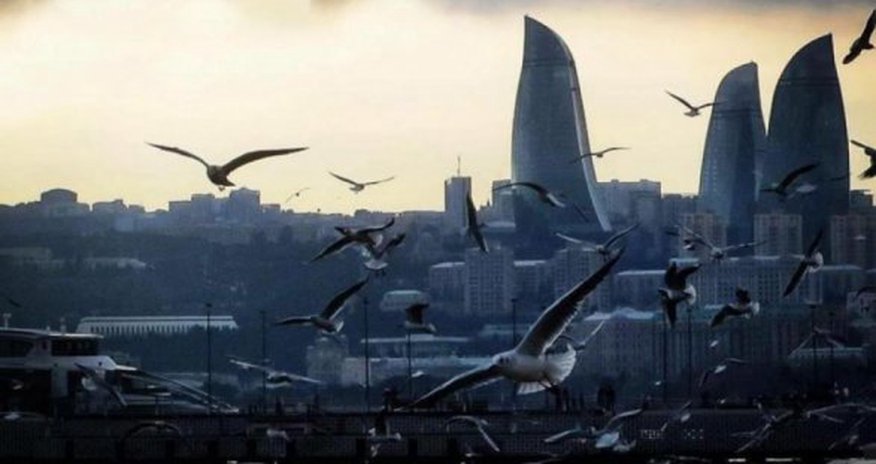 Синоптики о погоде на завтра: пасмурно, туман Синоптики о погоде на завтра: пасмурно, туман