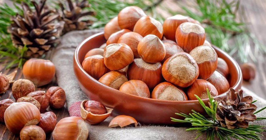 Azhazelnut поставит в ОАЭ фундука на $200 тыс. Azhazelnut поставит в ОАЭ фундука на $200 тыс.