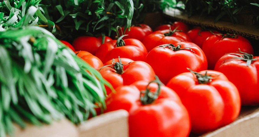 Азербайджан намерен расширить экспорт сельхозпродукции в Африку Азербайджан намерен расширить экспорт сельхозпродукции в Африку