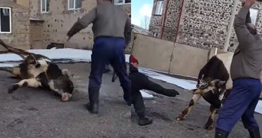 Ermənilərin vəhşiliyinin görüntüsü - (18+VİDEO) Ermənilərin vəhşiliyinin görüntüsü - (18+VİDEO)