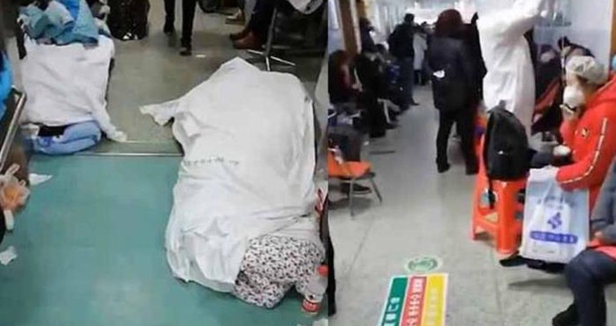 Koronavirusla bağlı YENİ XƏBƏR – Geni bu ölkəyə göndərildi Koronavirusla bağlı YENİ XƏBƏR – Geni bu ölkəyə göndərildi