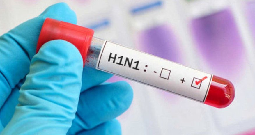 Türkiyədə “donuz qripi” həyəcanı: Ölən var Türkiyədə “donuz qripi” həyəcanı: Ölən var
