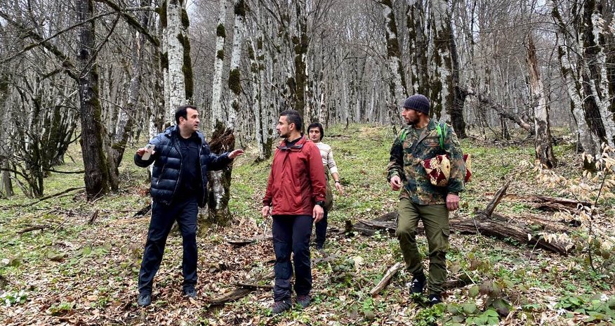 Prezident icra başçısını bu videoya görə cəzalandırıb — VİDEO Prezident icra başçısını bu videoya görə cəzalandırıb — VİDEO