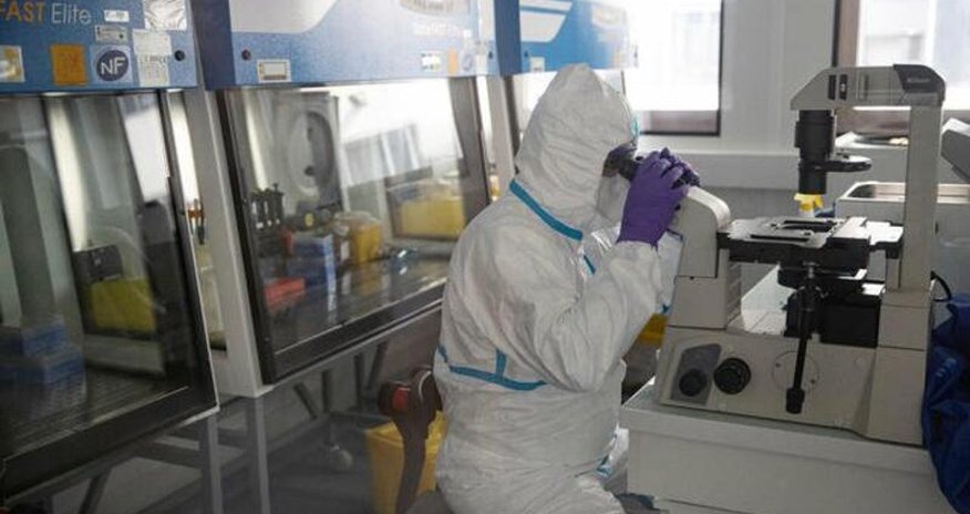 Fransa virusla mübarizədə yeni dərman tapdı Fransa virusla mübarizədə yeni dərman tapdı
