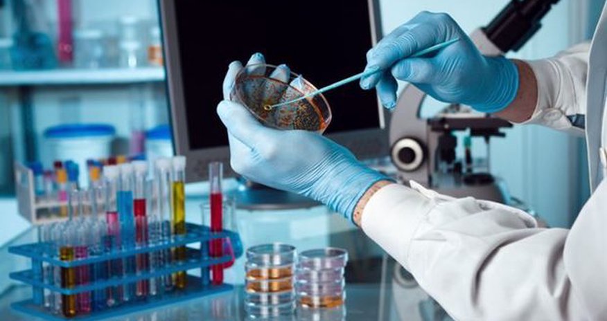 Onkologiyada yeni müalicə üsulu tapıldı Onkologiyada yeni müalicə üsulu tapıldı