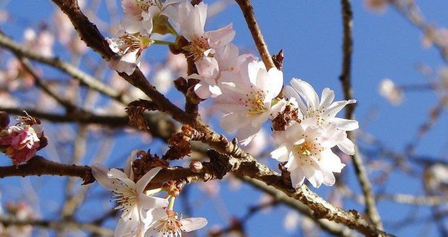 Sabah 28 dərəcə isti olacaq Sabah 28 dərəcə isti olacaq
