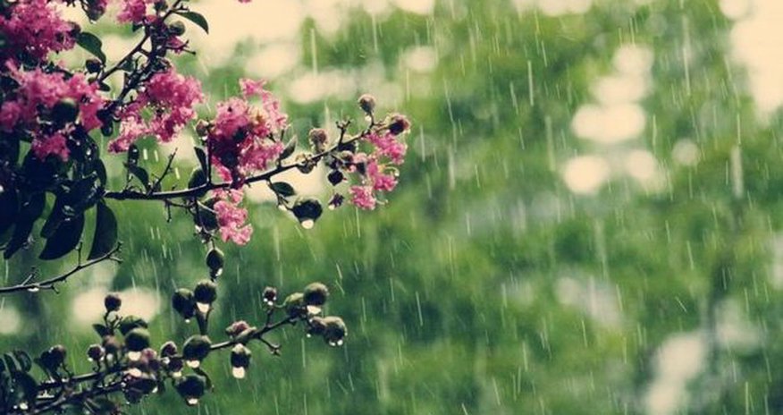 Hava şəraiti kəskin dəyişəcək - XƏBƏRDARLIQ Hava şəraiti kəskin dəyişəcək - XƏBƏRDARLIQ